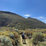 Clarice Beatriz Serena