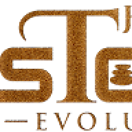 thestoneevolution