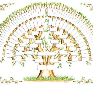 Foto Dall’albero genealogico al turismo genealogico